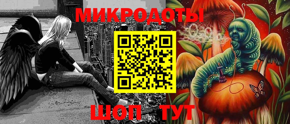 Псилоцибиновые грибы Psilocybine cubensis Прокопьевск