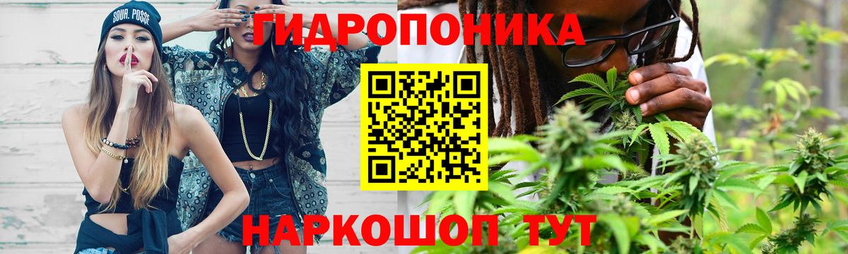 Шишки марихуана Ganja Прокопьевск